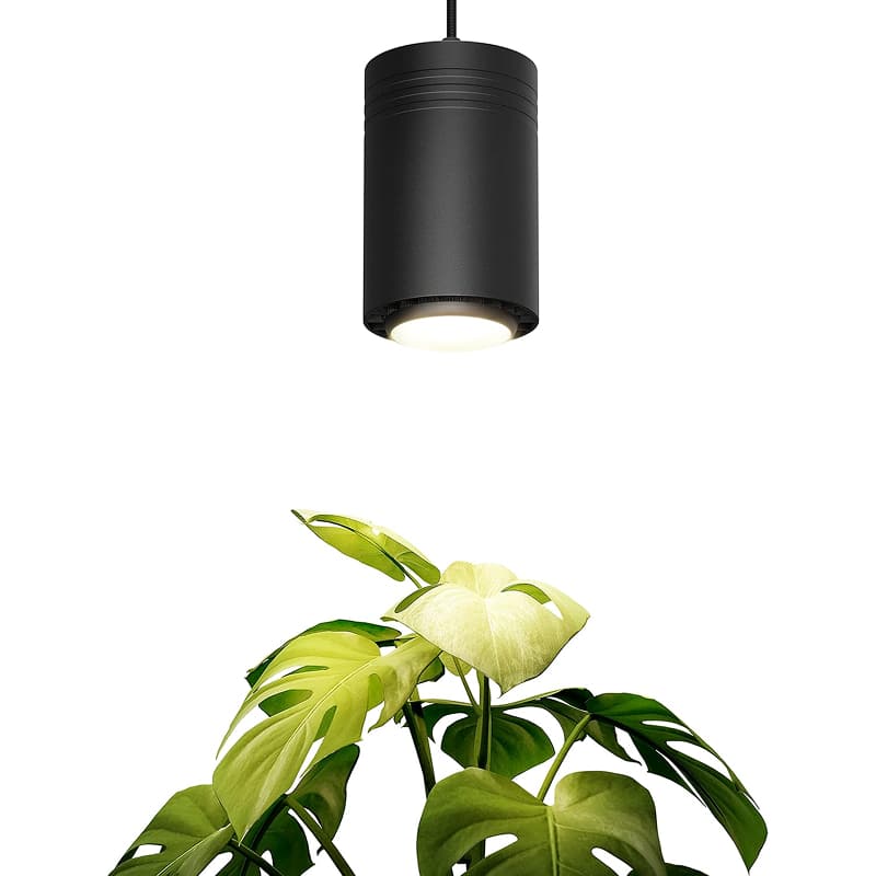 Best 5 Grow Lights For Indoor Plants of 2025