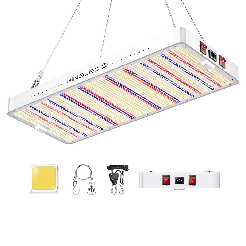 Best 5 Grow Lights For Indoor Plants of 2025