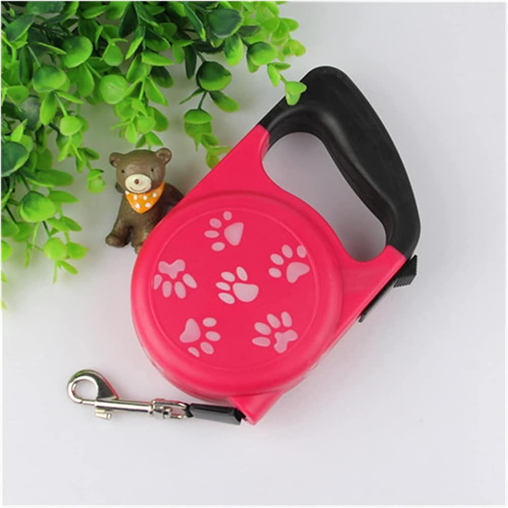 Best 5 Retractable Dog Leashes of 2026: Ultimate Control and Safety for ...